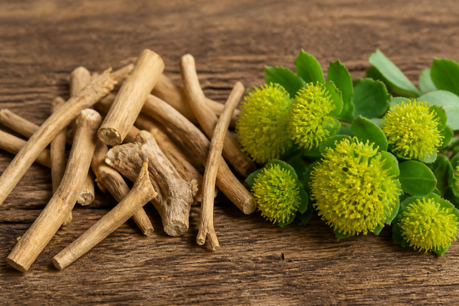 Réduction du stress par la modulation du cortisol